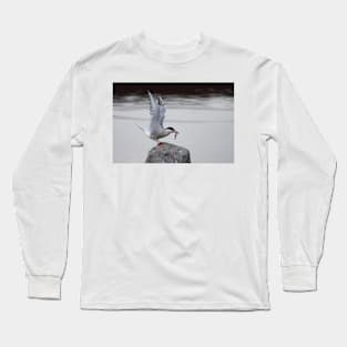 Common Tern Long Sleeve T-Shirt